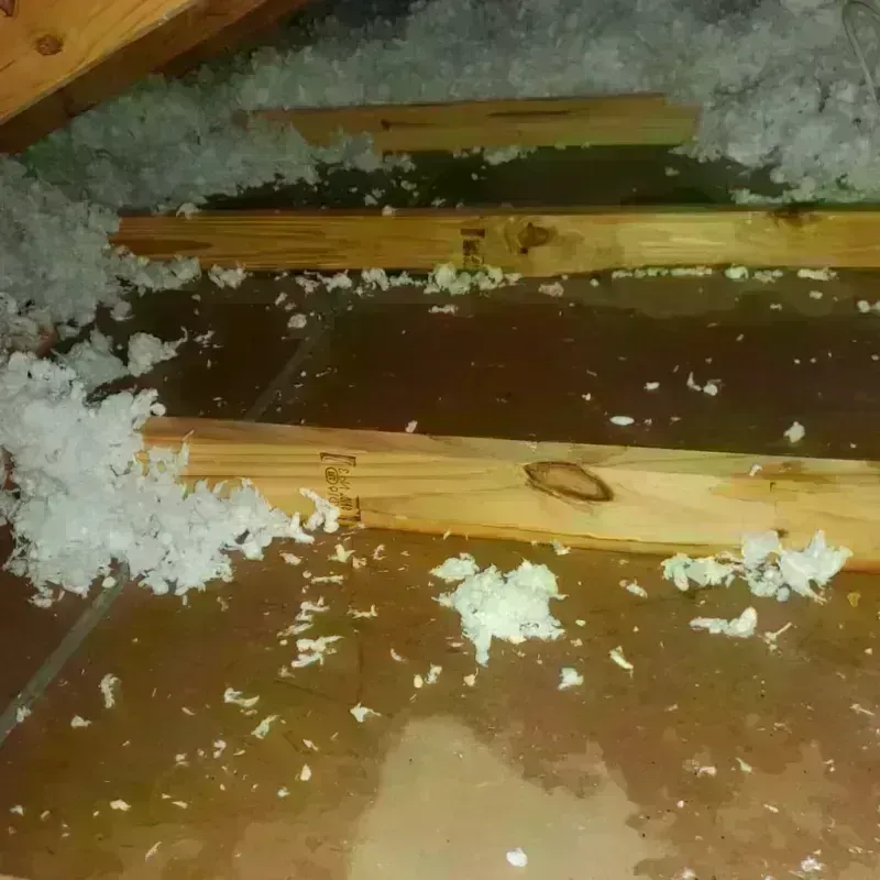 Attic Water Damage in Marshall, VA