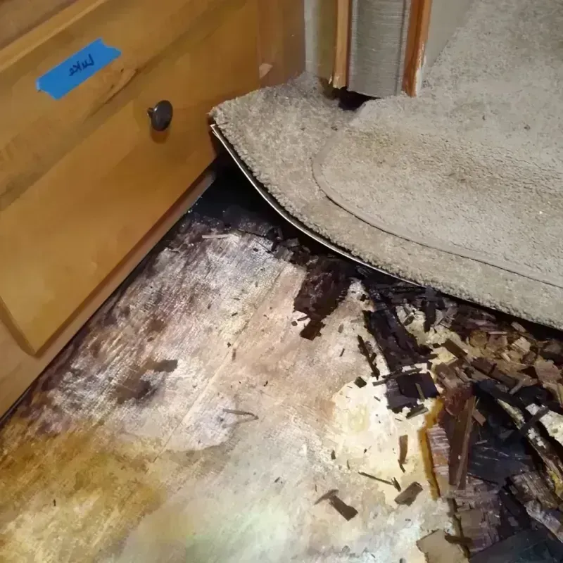 Wood Floor Water Damage in Marshall, VA